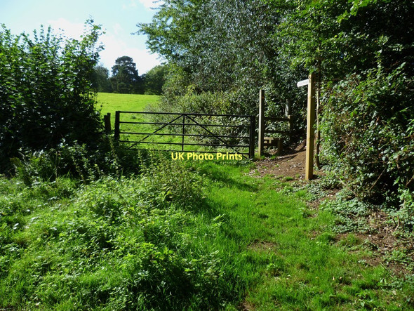 Photo 6"x4" Footpath into field from bridleway near Mayor House Farm Farley Green\/TQ0645 c2011