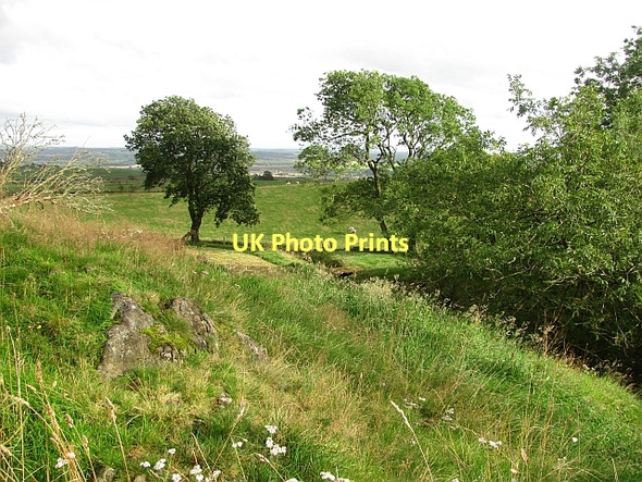 Photo 6"x4" Fields, Leys Banton\/NS7579 c2011