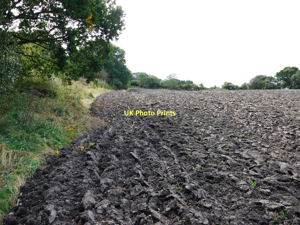 Photo 6"x4" Ploughed field east of Mickley Square Prudhoe c2011