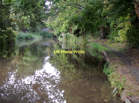 Photo 6"x4" Staffordshire and Worcestershire Canal south-east of Stafford Baswich c2011