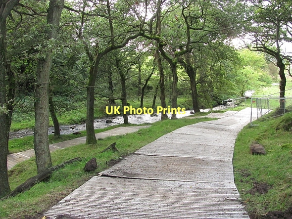 Photo 6"x4" Temporary road by the Castlerankine Burn Denny c2011