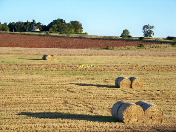 Photo 6"x4" Recently Harvested Wheat Field Lambden c2011