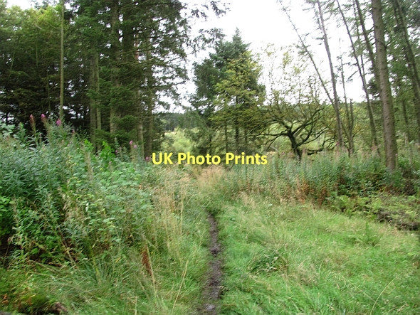 Photo 6"x4" Path, Beecraigs Linlithgow c2011
