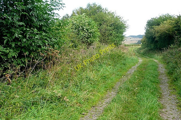 Photo 6"x4" Byway towards Greenrigg Bilton\/NU2210 c2009