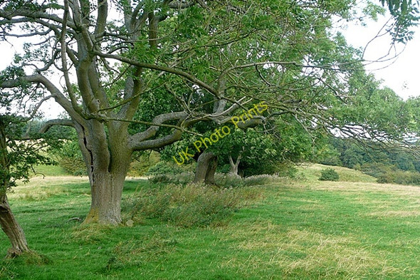 Photo 6"x4" Footpath to nowhere Bilton\/NU2210 c2009
