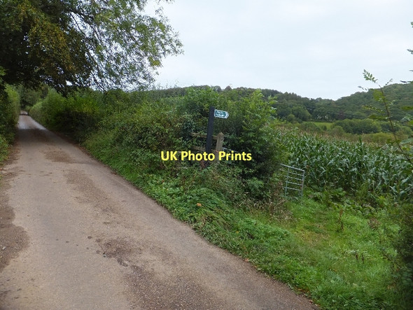 Photo 6"x4" Footpath near Halfpenny Cross Cove\/SS9519 c2011