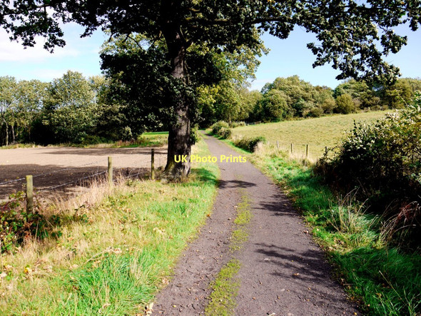 Photo 6"x4" View east along the Eltringham byway Prudhoe c2011