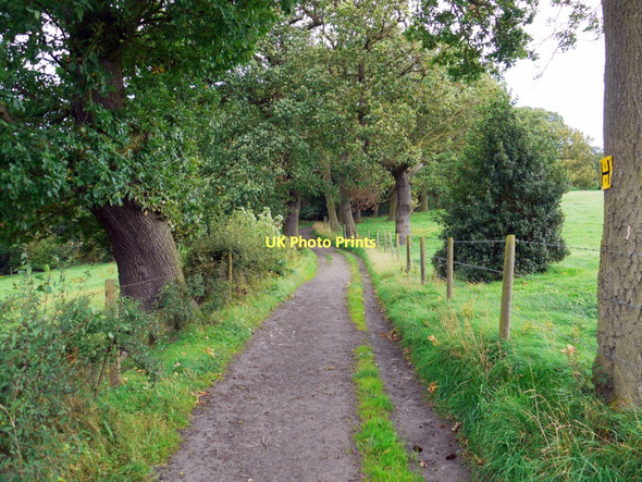 Photo 6"x4" Eltringham byway east of Oakwood Prudhoe c2011