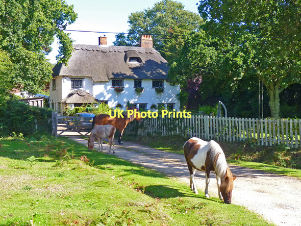 Photo 6"x4" Thatched Cottage at North Weirs North Weirs c2011