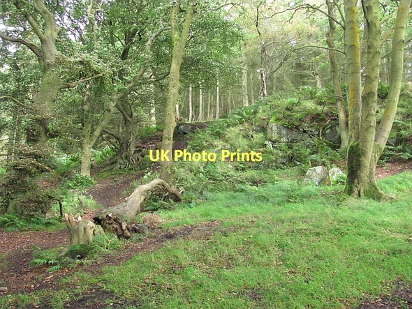 Photo 6"x4" Quarry, Beecraigs Linlithgow c2011