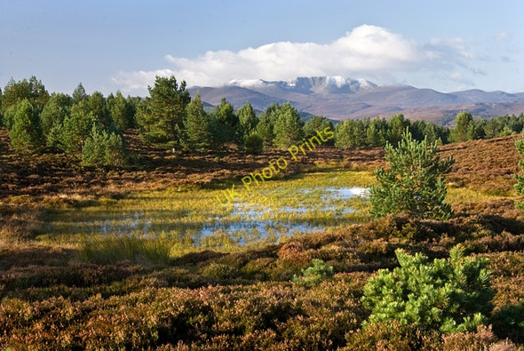 Photo 6"x4" Lochan above Sgor Buidhe in autumn Bridge of Gairn c2009