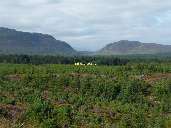Photo 6"x4" Rannoch Forest Dall Burn c2011