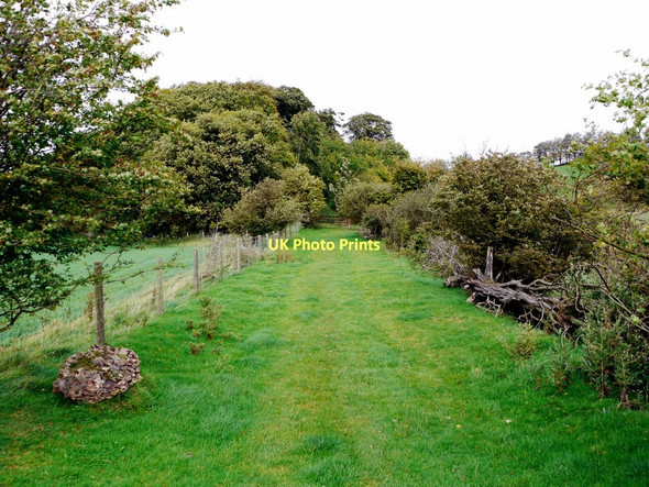 Photo 6"x4" Track to Crook Wood Branch End c2011