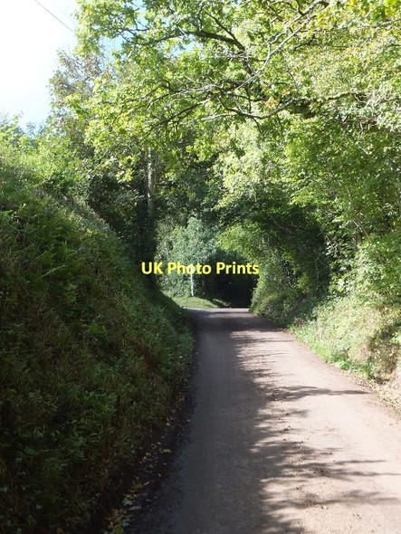 Photo 6"x4" A tunnel-like lane to Keepers Cross Washfield c2011