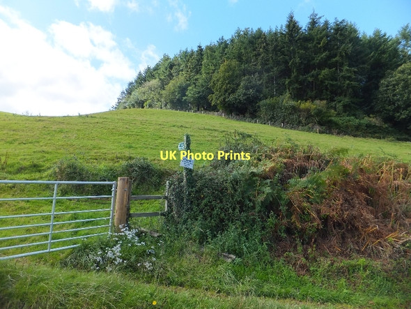 Photo 6"x4" Footpath from Marsh Farm to Beauchamp Farm Washfield c2011