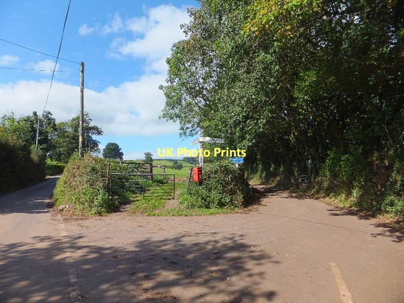 Photo 6"x4" Cotleigh Cross Tiverton\/SS9512 c2011