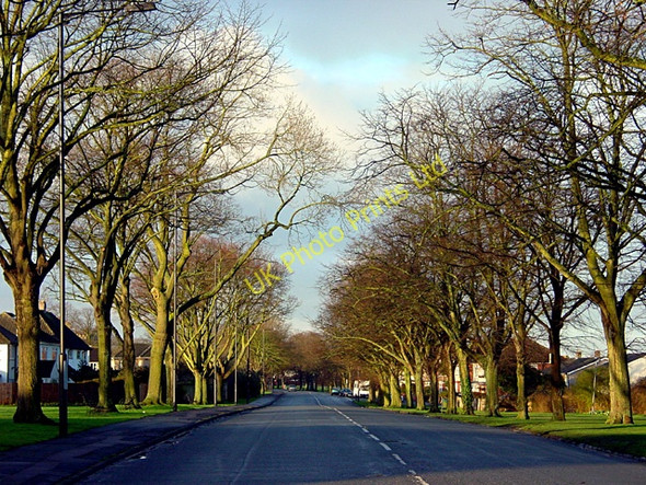 Photo 6"x4" Kellaway Avenue, looking south-west Bristol c2006
