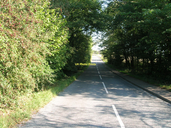 Photo 6"x4" Grange Lane Burghwallis c2011