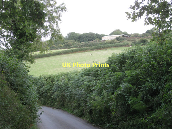 Photo 6"x4" Hillside south of Bell Lane  Hennock c2011