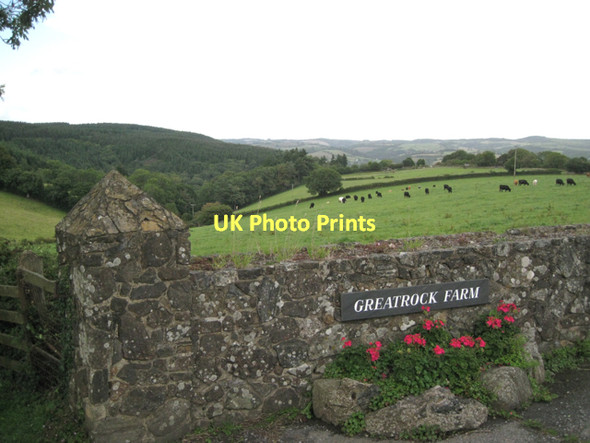 Photo 6"x4" Pasture above Greatrock Farm  Hennock c2011