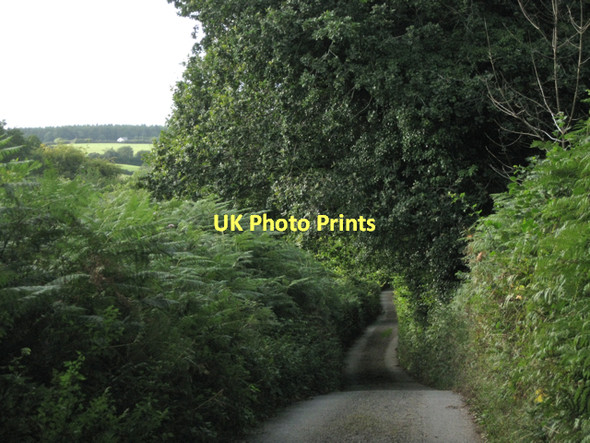 Photo 6"x4" Beadon Lane drops down  Hennock c2011