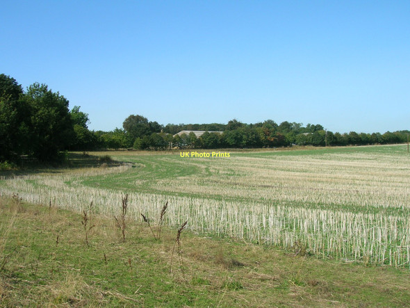 Photo 6"x4" Farmland near Campsmount Home Farm Campsall c2011