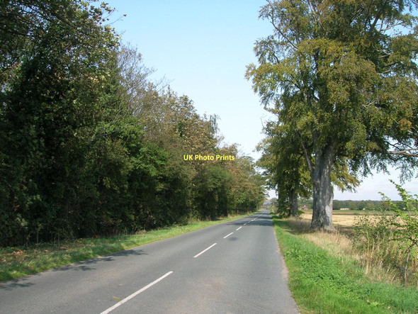 Photo 6"x4" Churchfield Lane towards Womersley Womersley c2011