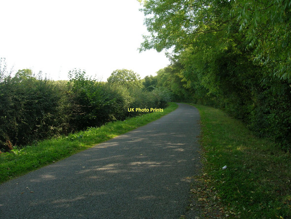 Photo 6"x4" Highfield Lane Walden Stubbs c2011