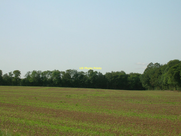 Photo 6"x4" Farmland, Stapleton Park Stapleton\/SE5119 c2011
