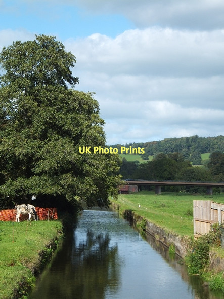 Photo 6"x4" Mill Leat north of Tiverton Tiverton\/SS9512 c2011