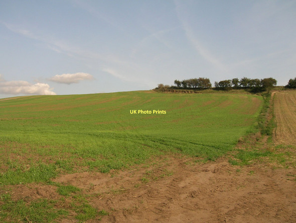 Photo 6"x4" Farmland off Moor Lane Pontefract c2011