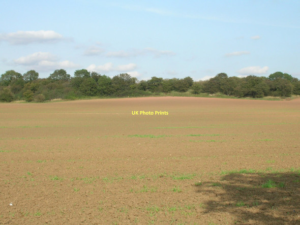 Photo 6"x4" Farmland off the A639 Wrangbrook c2011