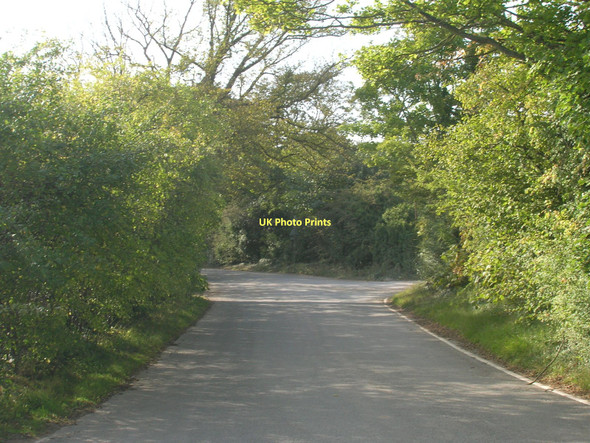 Photo 6"x4" Hazel Lane towards the A638 Hampole c2011