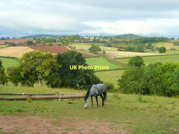 Photo 6"x4" Pastoral scene Linton Hill\/SO6624 c2011