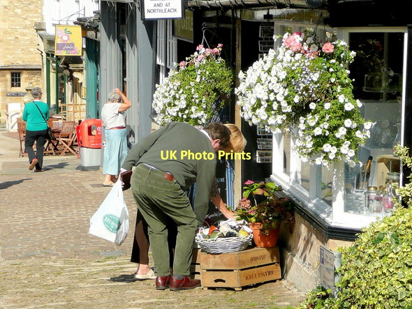Photo 6"x4" Afternoon browsers Burford\/SP2512 c2011