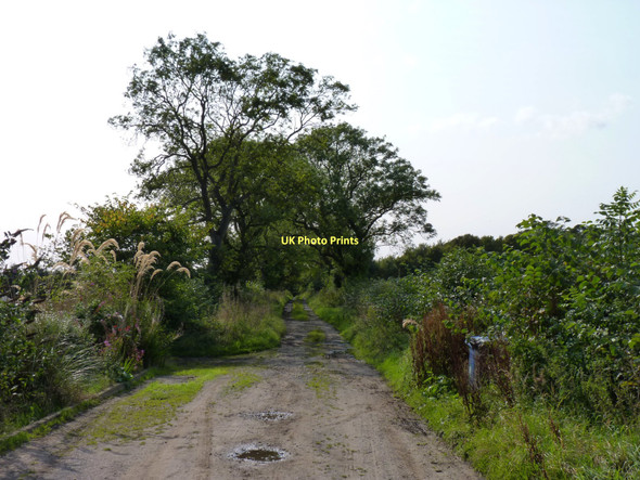 Photo 6"x4" Track to Balcarres Den Colinsburgh c2011