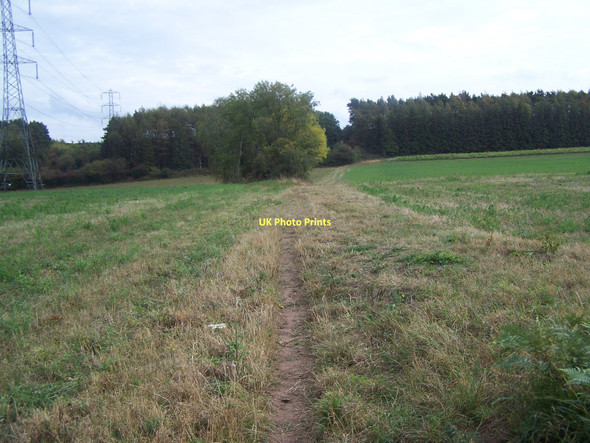 Photo 6"x4" Footpath Towards Beckbury Badger c2011