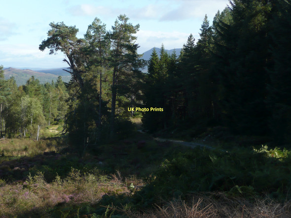 Photo 6"x4" In Rannoch Forest Dall Burn c2011