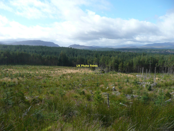 Photo 6"x4" Young and mature trees in Rannoch Forest Creagan na C\u00f2rr c2011