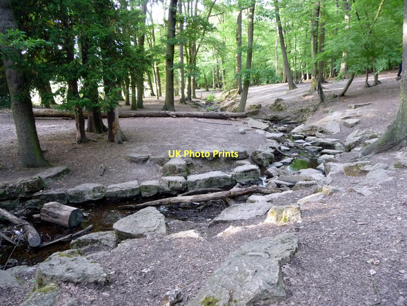 Photo 6"x4" Stream, Grovelands Park, London N14 Southgate\/TQ3094 c2011