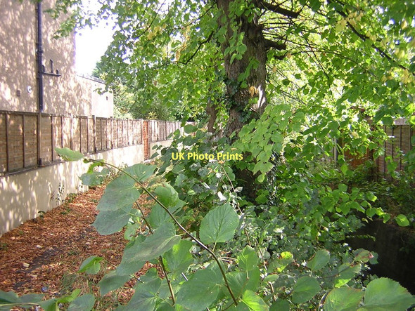 Photo 6"x4" Norbury Brook at Bensham Close Penge c2011