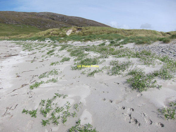 Photo 6"x4" Traigh Siar dunes Bhatarsaigh c2011