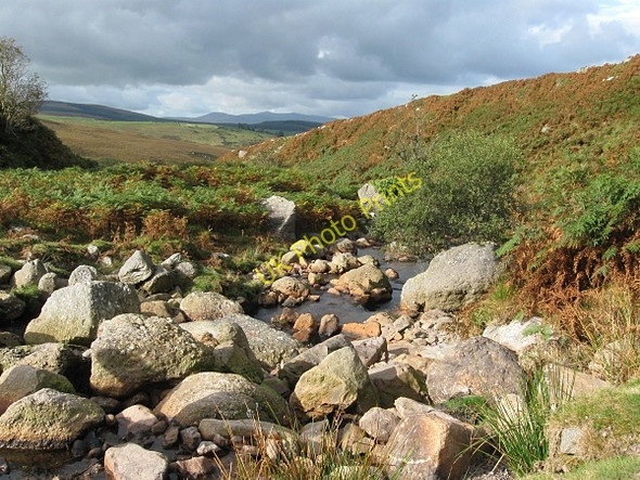 Photo 6"x4" Stream Bed Rathgormuck c2009