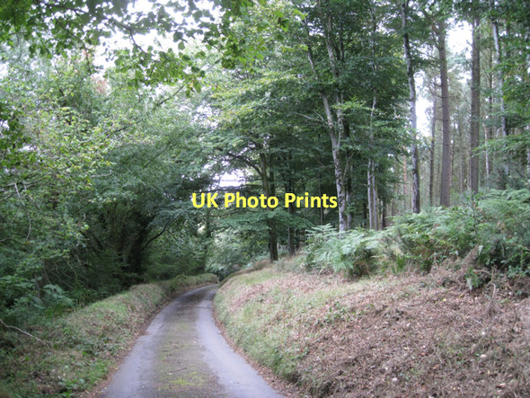 Photo 6"x4" Lane to Shuttamoor  Bennah c2011