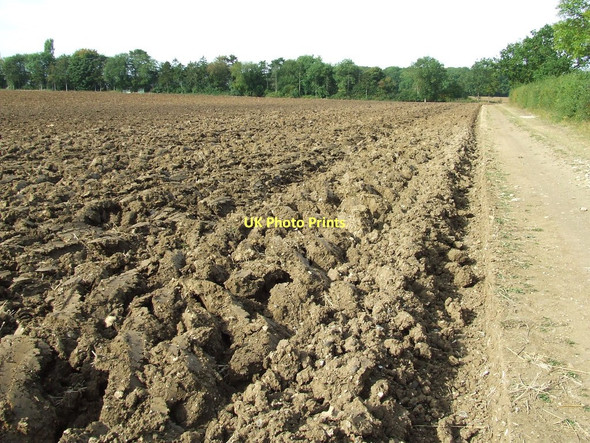 Photo 6"x4" Ploughed Field Burton End\/TL6249 c2011