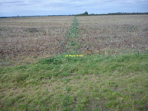 Photo 6"x4" Crossfield footpath from Shire Lane to North Crawley Wharley End c2011