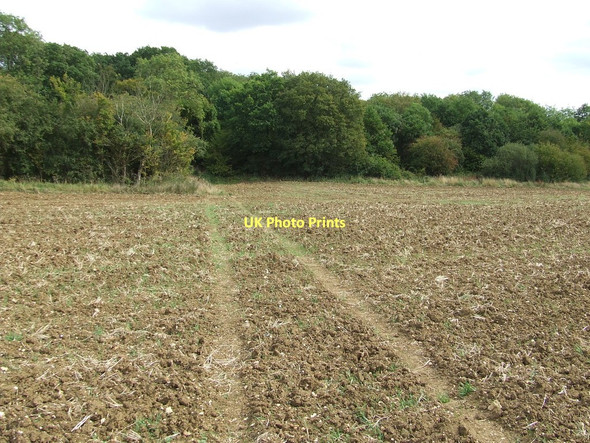 Photo 6"x4" Over Wood Burton End\/TL6249 c2011