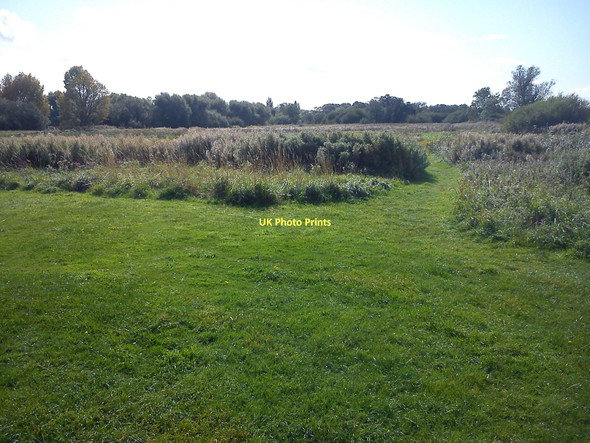 Photo 6"x4" Path within Fenlake Meadows Local Nature Reserve Bedford\/TL0549 c2011
