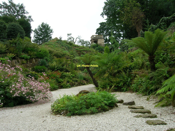 Photo 6"x4" Fern Dell, Brodsworth Hall Brodsworth c2008