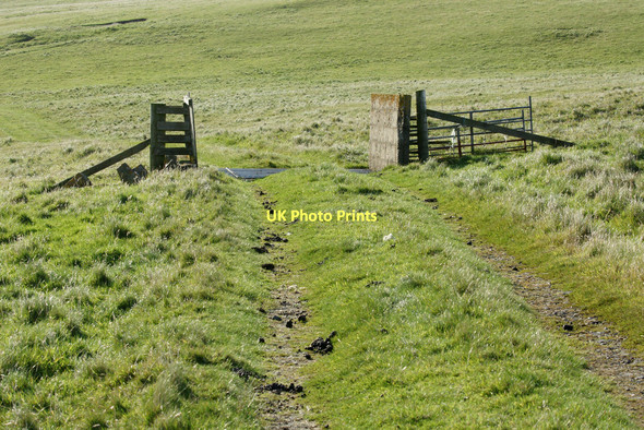 Photo 6"x4" Cattle grid on the track at Skaw Kirkaton c2011
